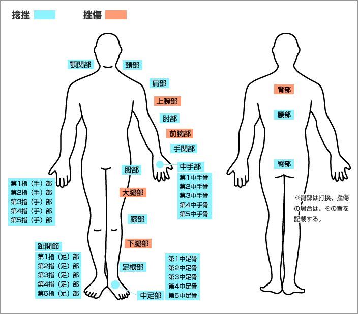 人体図
