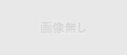 画像無し